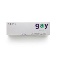 BREX フルLEDデザイン -gay(ゲイ) BPC971 | ゼンリンDS