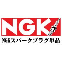 NGK スパークプラグ CPR6EA-9S ストックナンバー：1582 0087295115824 | ゼンリンDS