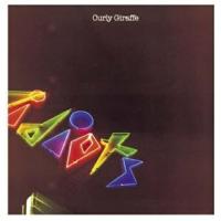 CD/Curly Giraffe/Idiots (歌詞対訳付) | 靴下通販 ZOKKE(ゾッケ)