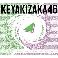 CD/欅坂46/永遠より長い一瞬 〜あの頃、確かに存在した私たち〜 (2CD+Blu-ray) (Type-B) | 靴下通販 ZOKKE(ゾッケ)