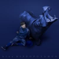 ▼CD/米倉利紀/blue HIPPOPOTAMUS | 靴下通販 ZOKKE(ゾッケ)