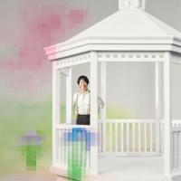 CD/後藤輝基/ホイップ (通常盤) | 靴下通販 ZOKKE(ゾッケ)