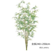 バンブーツリー(L)240〜250ｃｍ 人工観葉植物フェイクグリーン造花 (GL123) | 造花ディスプレイ ドットコム