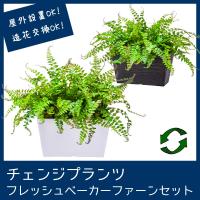 屋外 寄せ植え フェイクグリーン 造花 おしゃれ チェンジプランツフレッシュベーカーファーンセット