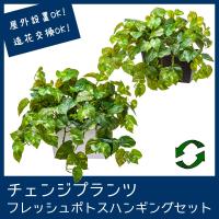 屋外 寄せ植え フェイクグリーン 造花 おしゃれ チェンジプランツ フレッシュポトスハンギングセット