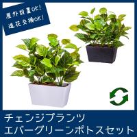 屋外 寄せ植え フェイクグリーン 造花 おしゃれ チェンジプランツ エバーグリーンポトスセット
