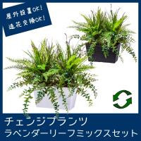 屋外 寄せ植え フェイクグリーン 造花 おしゃれ チェンジプランツ ラベンダーリーフミックスセット