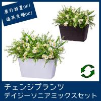 屋外 寄せ植え フェイクグリーン 造花 おしゃれ チェンジプランツ デイジーソニアミックスセット