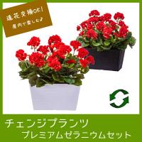 寄せ植え フェイクグリーン 造花 おしゃれ チェンジプランツ プレミアムゼラニウムセット