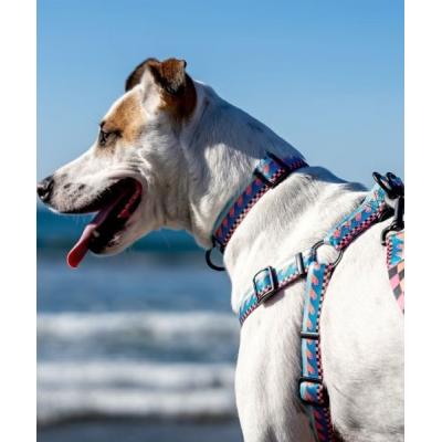 ウルフギャング 犬 ハーネスの商品一覧 通販 - Yahoo!ショッピング