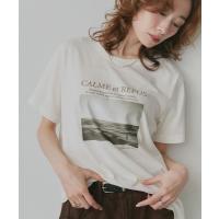 tシャツ 半袖 アソート カップ付き フォトプリント Tシャツ レディース