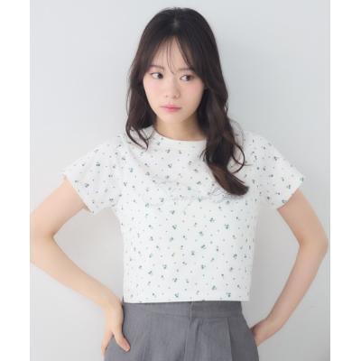 キラキラtシャツ（レディースTシャツ、カットソー）｜トップス