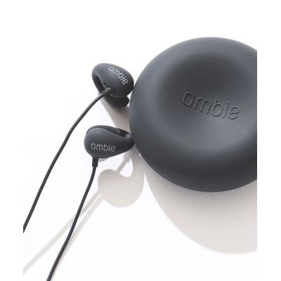 bbe acoustimax（各種楽器、器材） | 楽器、手芸、コレクション の