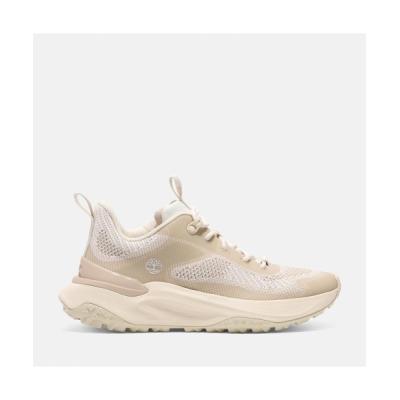 Timberland レディーススニーカー（サイズ（cm）：23.5cm）｜シューズ