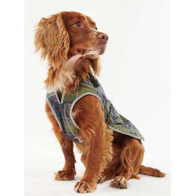 犬 バーバリーの商品一覧 通販 - Yahoo!ショッピング