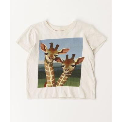 グッチキッズtシャツのおすすめ人気商品一覧 通販 - Yahoo