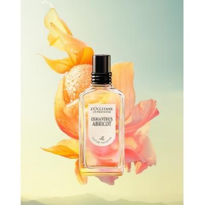 ロクシタン 香水のおすすめ人気商品一覧 通販 - Yahoo!ショッピング