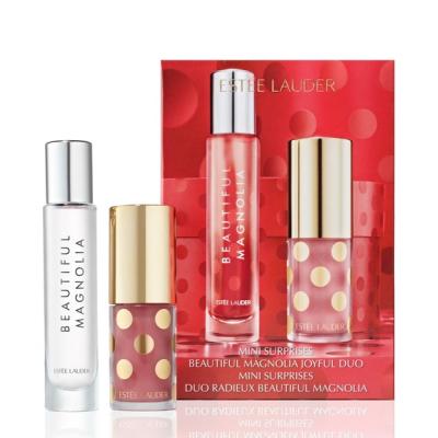 エスティローダー クリスマスコフレ（コフレセット、スキンケア