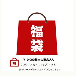 ステンレス ピアス 福袋 10000円相当です　ピアス6〜12セット前後　  金属アレルギー対応 レディース メンズ 送料無料2024年｜0001pppcom