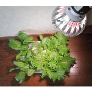 24w 白/赤 観賞用植物育成LED スポット...の詳細画像2