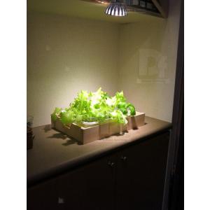 24w 白/赤 観賞用植物育成LED スポット...の詳細画像3