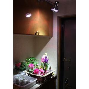 6W 白/赤 観賞用植物育成LEDライト E1...の詳細画像4
