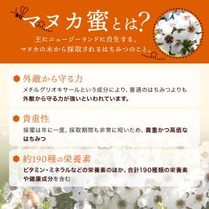 ニュージーランド産 マヌカ蜜 スティックタイプ...の詳細画像4