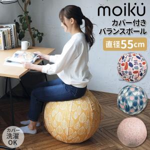 テクノジム アクティブシッティング バランスボールチェア 55cm