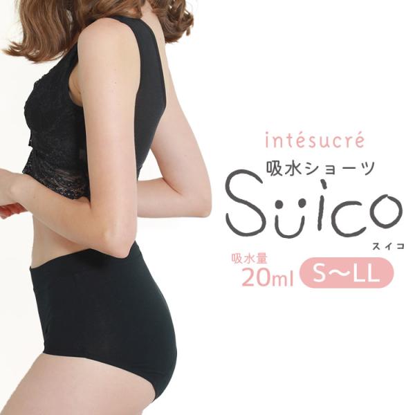 TSE006｜スイコ 吸水サニタリーショーツ 抗菌 消臭 吸水量20mlウイング対応 S-LL