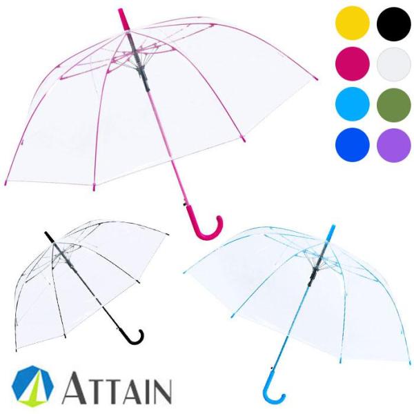 ATTAIN 65cmPOE カラーグラス骨/中棒