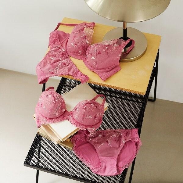 チャーミングラマースリムラインDeepV ブラ＆ショーツセット 1410  B-Dカップ