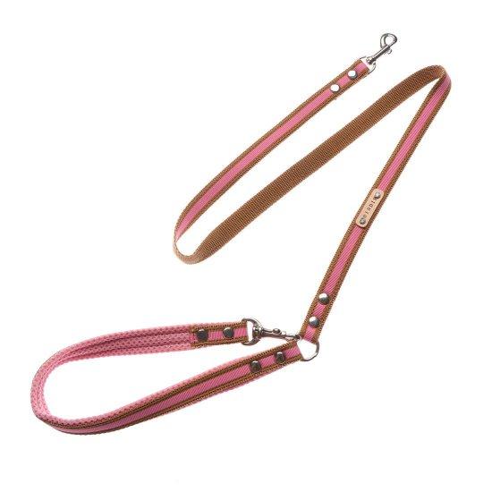 ラッセルクッションリードS