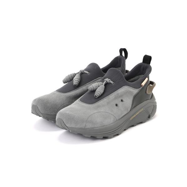 Hender Scheme／エンダースキーマ／species