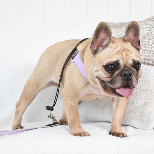 リーシュ　フォア　スモールブリーズ　パステル　110