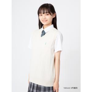 綿ベスト〈12G/COOLMAX/シャインマスカ...の商品画像