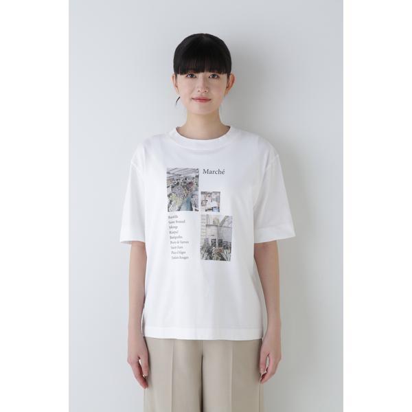 ◆４０／２天竺・フォトＴシャツ