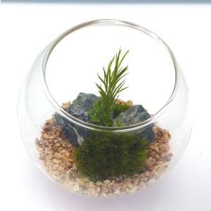 枯れない苔テラリウム 苔プリ 10cmローズピンク