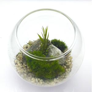枯れない苔テラリウム 苔プリ 10cmナチュラルの詳細画像1