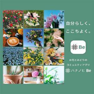 枯れない苔テラリウム 苔プリ10cm鳥居タイプ...の詳細画像3