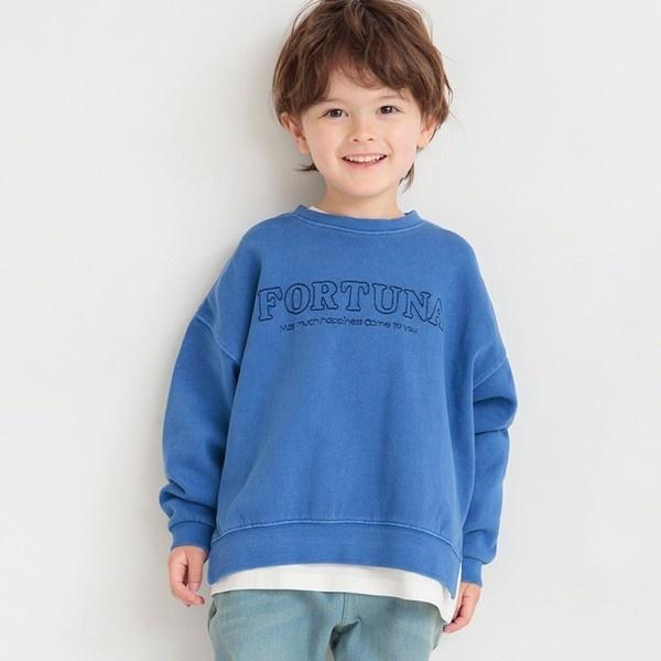 HARU COLOR ピグメントトレーナー