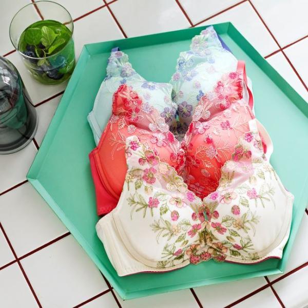 夢みるブラ DeepV ブラジャー フレーバーウォーター 1510【E、Fカップ】