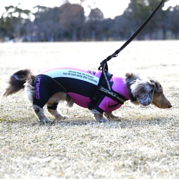 LGE538 トリコロール　カラー　プロテクト　ロンパース 　 ミニチュアダックスフンド用