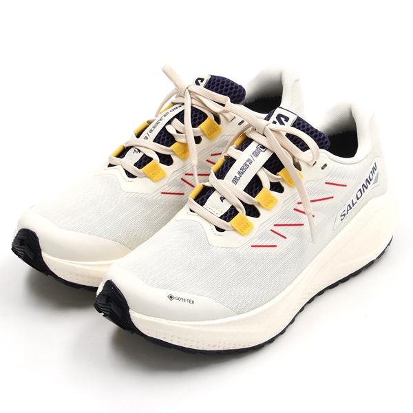 SALOMON/AERO BLAZE3 GRVL GTX W/エアロブレイズ3グラベル ゴアテックス