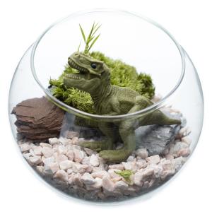 枯れない苔テラリウムキット ティラノサウルス