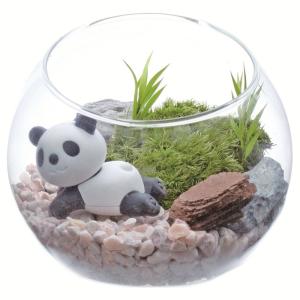 枯れない苔テラリウムキット パンダの詳細画像1