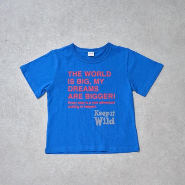 【綿100%】ドリームメッセージロゴ半袖T