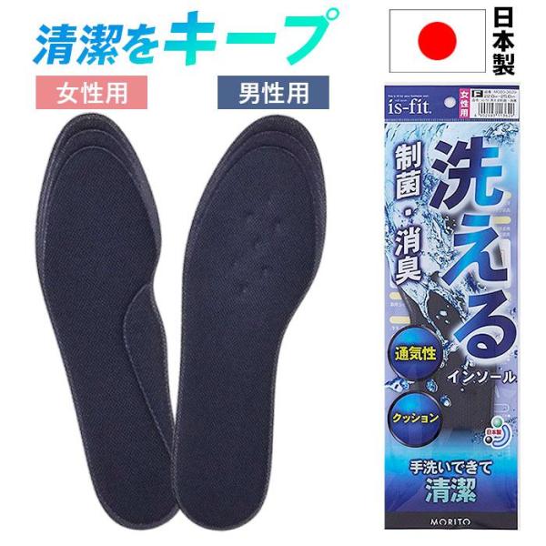 is-fit 洗える制菌消臭インソール