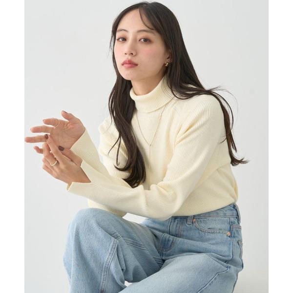 レンチング(TM)エコヴェロ(TM)(リブタートル)