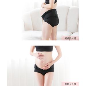 腰の保護安定サポート まもり帯 | 犬印本舗の...の詳細画像1