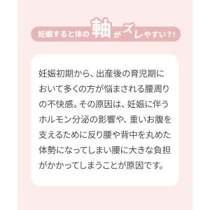 腰の保護安定サポート まもり帯 | 犬印本舗の...の詳細画像2